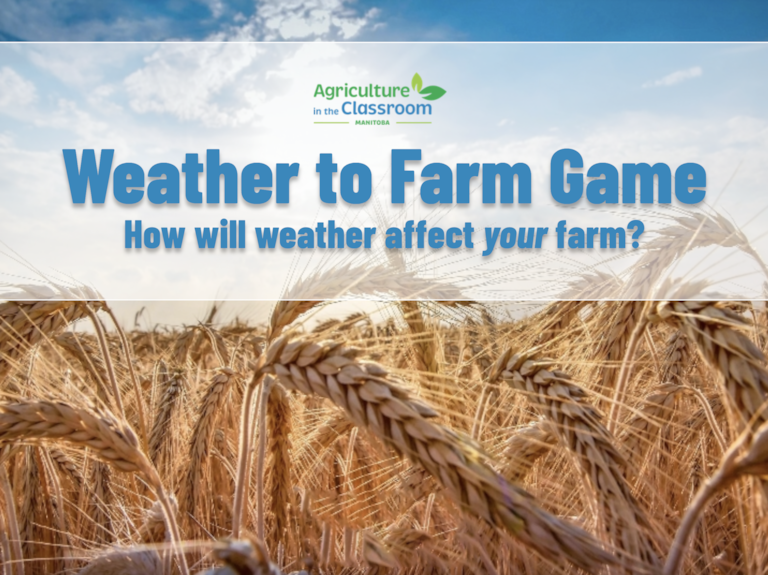 Field of wheat with Weather to Farm Game title